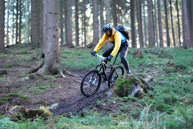  Junge fährt mit dem Fahrrad im Wald 